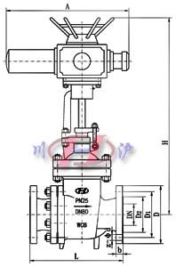 늄Ųly (ΈD)